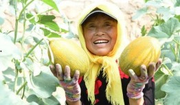 独眼龙吃瓜,揭秘娱乐圈背后的秘密与真相