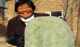 秋后吃瓜 记者,记者带你探访瓜乡盛景