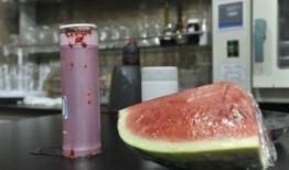 吃瓜保温的吗,保温秘籍大公开