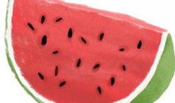 瓜皮联盟吃瓜群众,揭秘吃瓜群众的狂欢盛宴