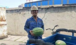 吃瓜群众热门版,揭秘娱乐圈最新热点事件