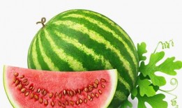 梦见很多瓜后来在吃瓜,瓜果满园，吃瓜解谜之旅