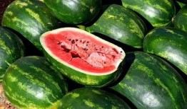 武汉吃瓜视频大全