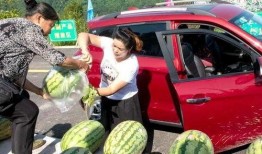 去台湾吃瓜群众,去台湾吃瓜群众的味蕾盛宴