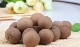 例假能否吃籽瓜,助调养身体