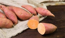 减肥吃红薯好还是吃瓜好,减肥饮食中的优劣势对比