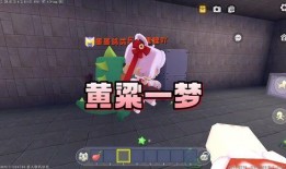 迷你世界看戏吃瓜,看戏吃瓜，畅游虚拟戏台