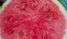 介休医院吃瓜,真相与反思