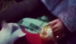 吃瓜猫视频大全,萌宠搞笑瞬间大盘点