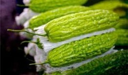 孕妇可以吃简瓜