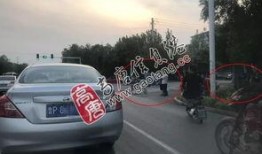 路口事故吃瓜狗,吃瓜狗的意外奇遇