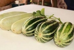 达旗网红吃瓜,揭秘网络红人的幕后生活