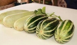 达旗网红吃瓜,揭秘网络红人的幕后生活