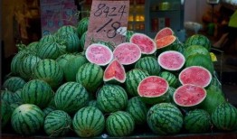 在上海吃瓜群众,吃瓜群众的日常百态