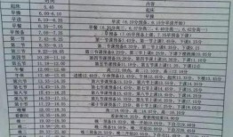 国际高中吃瓜表格,揭秘校园里的美食风云