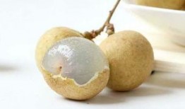 例假能否吃籽瓜,助调养身体