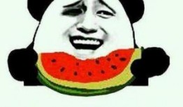 瓜皮联盟吃瓜群众,揭秘吃瓜群众的狂欢盛宴