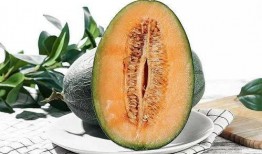 正在吃哈密瓜,品味哈密瓜的甘甜时光