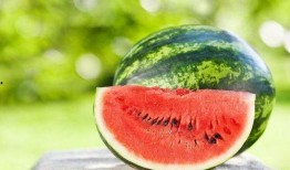 吃西瓜时看到瓜,西瓜从种子到果实的奇妙蜕变之旅