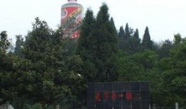 茅台酒吃瓜,揭秘酒中珍品背后的故事