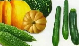 独眼龙吃瓜,揭秘娱乐圈背后的秘密与真相