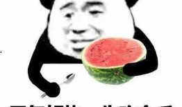 吃瓜的小孩表情包