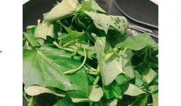 附子瓜怎么吃减肥产品,天然食材助你轻松瘦身