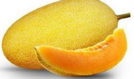 哺乳可以吃蜜瓜吗,营养与安全的探讨