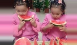 双胞胎 吃瓜,揭秘双胞胎世界的甜蜜与趣味