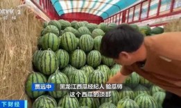 火爆吃瓜群103,揭秘网络热议背后的故事