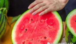 大学网课吃瓜,揭秘大学网课中的那些“吃瓜”瞬间