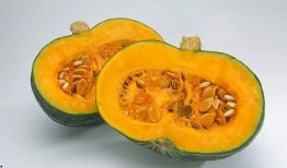 吃瓜大队南瓜,揭秘南瓜的神奇魅力与食用之道