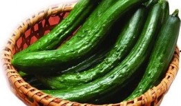 土桥中学吃瓜,揭秘校园里的“瓜田”风云