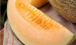 非雨吃瓜,一场别开生面的夏日盛宴