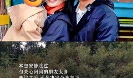 网友吃离婚的瓜,吃瓜群众围观离婚风波，揭秘明星夫妻感情纠葛