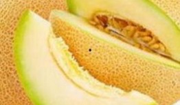 病人吃哈密瓜可以吃吗