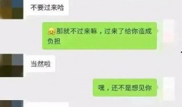 吃瓜聊天记录魏县,揭秘当地生活百态