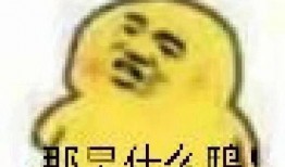 吃瓜模式表情包,揭秘吃瓜模式表情包背后的趣味与潮流