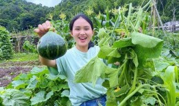 瓜叶子咋吃,瓜叶子的多样食用方法探索