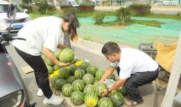 吃两瓜的视频,探寻夏日消暑佳肴