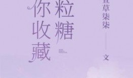 日落吃瓜后续小说,揭秘神秘庄园的秘密