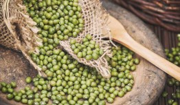 立夏吃瓜壁纸,探寻传统美食文化中的立夏吃瓜习俗