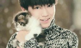 吃瓜前线王俊凯,吃瓜前线揭秘娱乐圈幕后故事