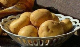 吃瓜群土豆姐,揭秘娱乐圈那些事儿