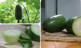 自己家里的吃瓜,品味生活甜蜜滋味