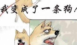 吃瓜猫视频大全,萌宠搞笑瞬间大盘点