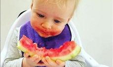 正经吃瓜是否违法,法律视角下的网络热议现象