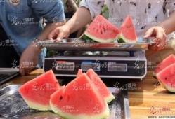 山东直播吃瓜,一场别开生面的网络盛宴