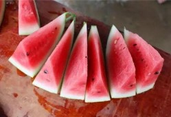 长沙吃瓜栏,吃瓜栏里的风味盛宴