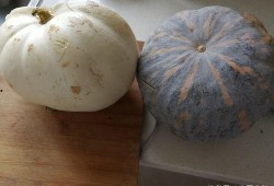 玉瓜老了怎么吃,探索老玉瓜的多样美味